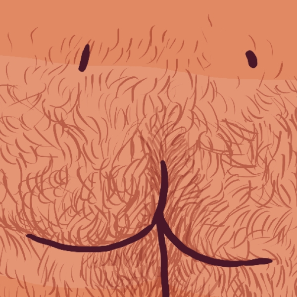 Poils fesses