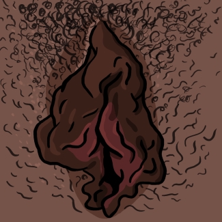 illustration de lèvres internes et externes