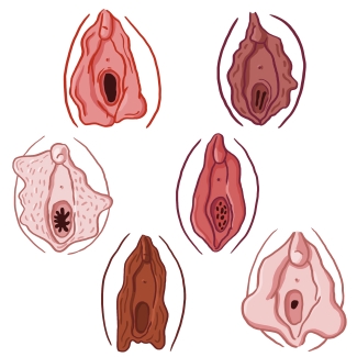illustration de six hymens différents