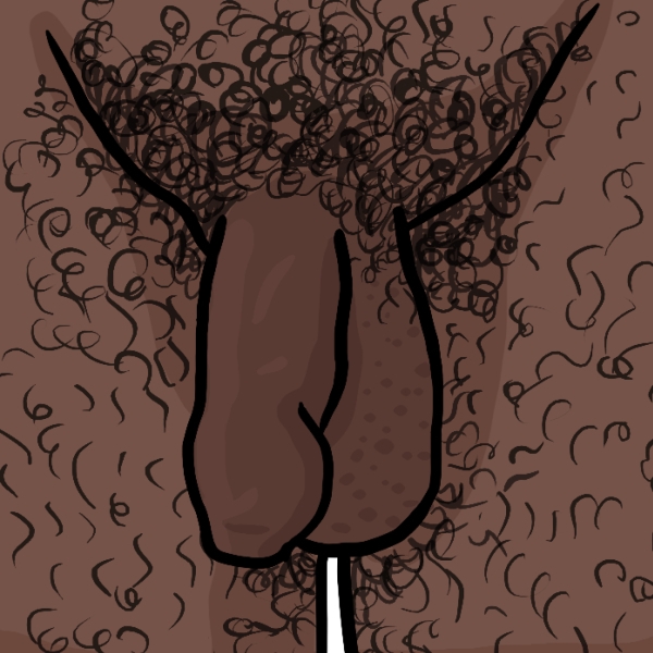 Illustration de pénis